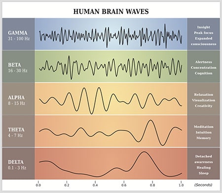 Human Brain Waves